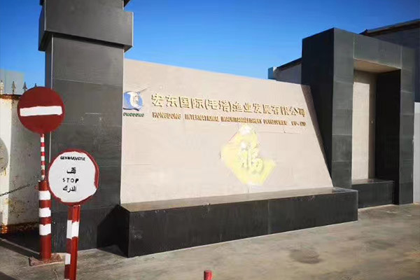出口毛里塔尼亞一化工廠用6噸、10噸燃?xì)庹羝仩t項(xiàng)目